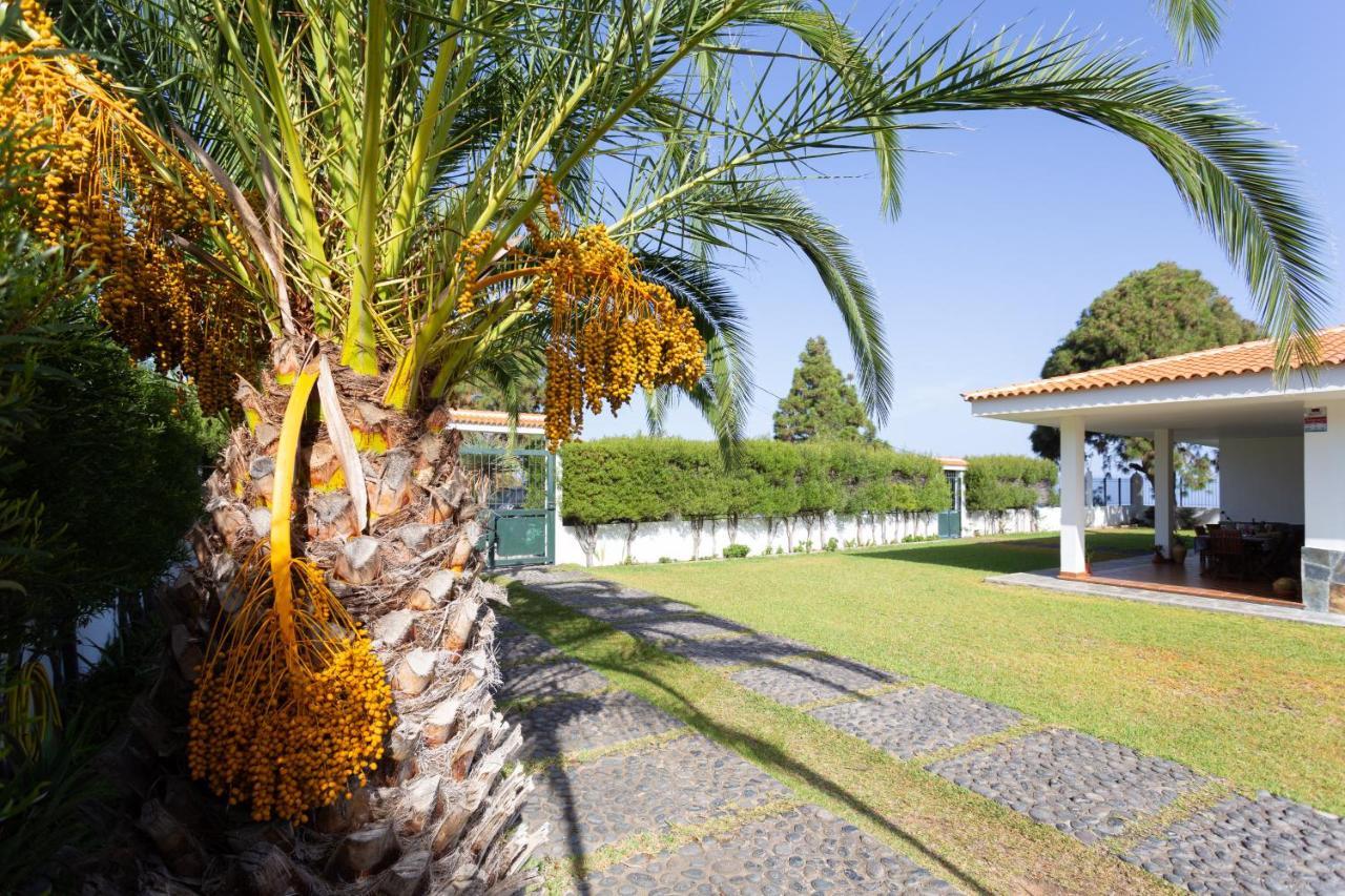 Finca La Vizcondesa Icod De Los Vinos Exterior foto